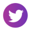 Twitter Icon