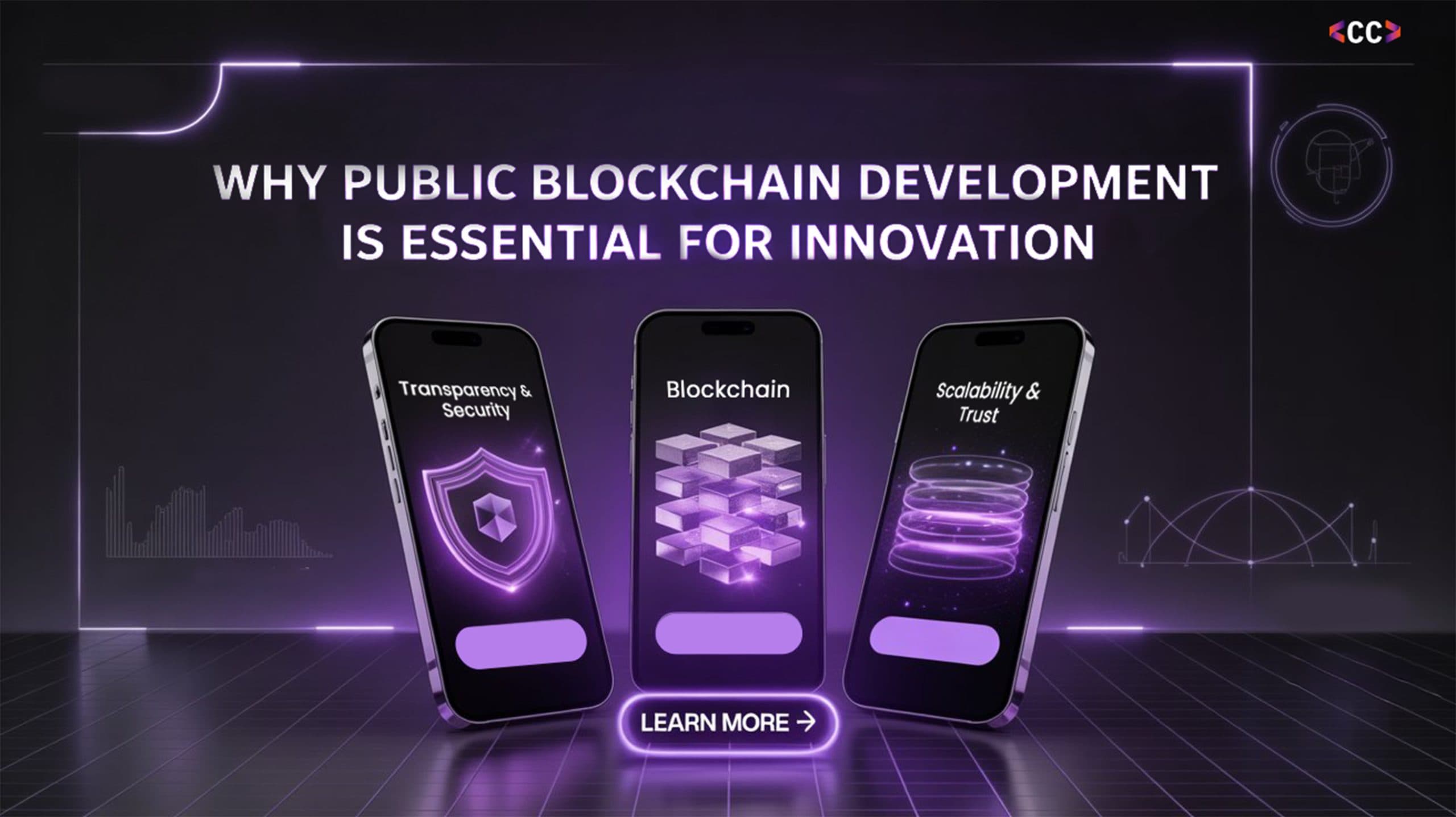 Why Public Blockchain Development is Essential for Innovation