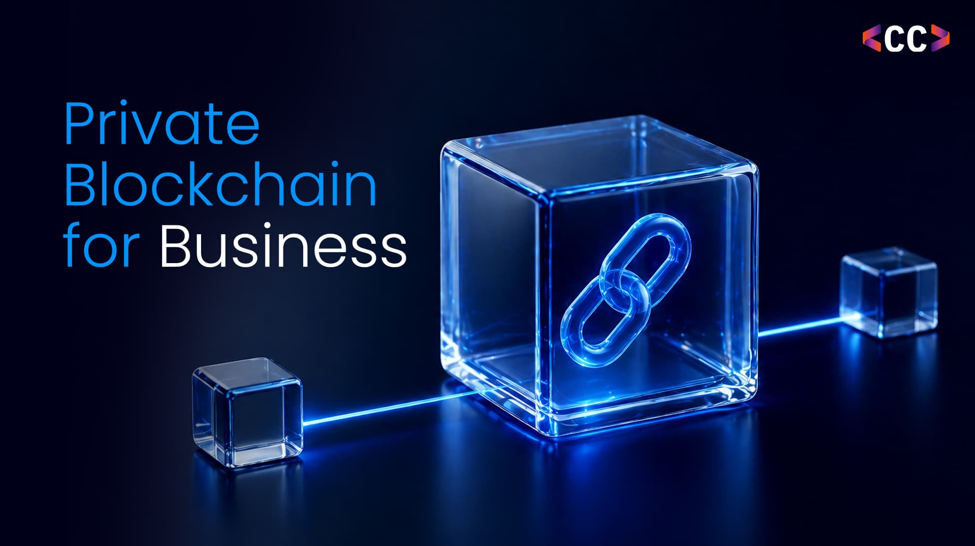 Private Blockchain for Business: What It Is, How It Differs, and How to Choose the Right Type