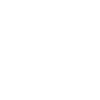 Offline Capture & Automatic Sync
