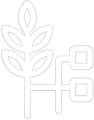 Murundi Group: Global Agri Trade with NFTtrace Murundi Group: Global Agri Trade with NFTtrace