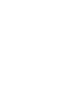Privacy Ninja Mode